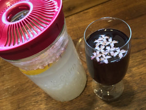 🌸LILAC & BLACK CURRANT WATER KEFIR🌸