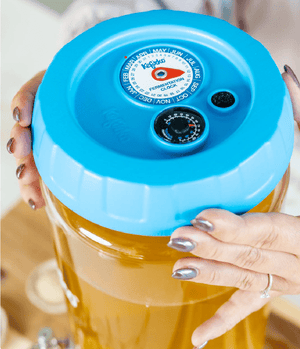Kefirko Kombucha Fermenter 4L - 2tech ltd