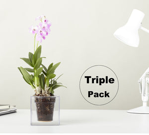 Boskke Cube Clear Planter Triple-Pack Offer - 2tech ltd