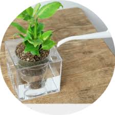 Boskke Cube Transparent Planter - 2tech ltd